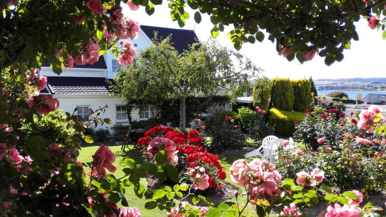 Phoenix Thermal Resort - Taupo Ngoại thất bức ảnh