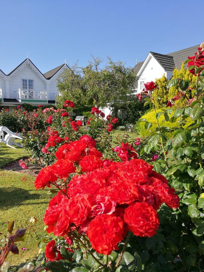 Phoenix Thermal Resort - Taupo Ngoại thất bức ảnh
